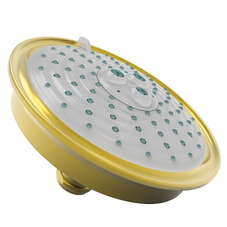 Newport Brass Multifunction Showerhead in Polished Brass Uncoated (Living) 2144-03N